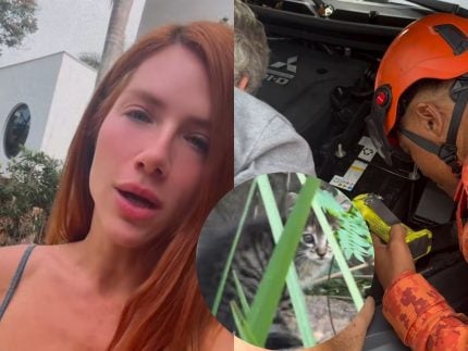 Giovanna Ewbank chama bombeiros para salvar filhotinho de gato preso em carro 31 Giovanna Ewbank chama bombeiros para salvar filhotinho de gato preso