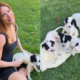 Giovanna Ewbank e familia resgatam cachorros abandonados na estrada do