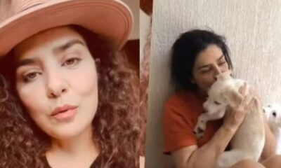 Leticia Sabatella diz que seus cachorros foram levados de sua