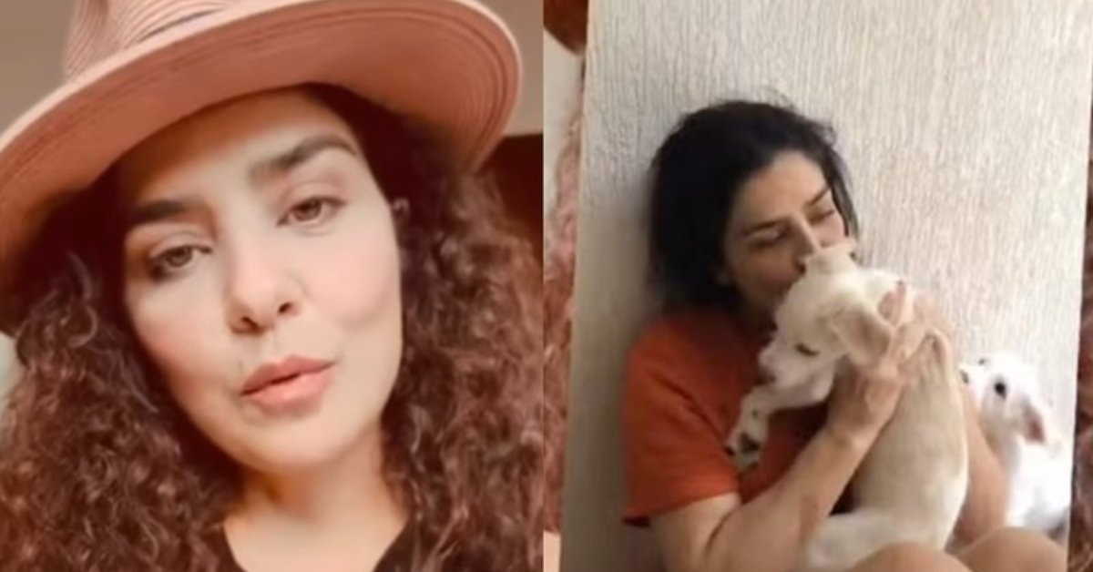 Letícia Sabatella diz que seus cachorros foram levados de sua casa e doados sem sua permissão: 'Ela tomou' 31 Leticia Sabatella diz que seus cachorros foram levados de sua