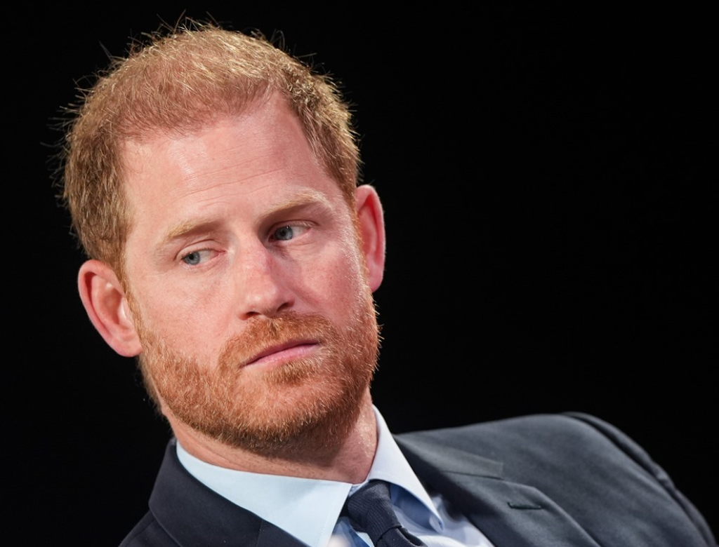 Príncipe Harry é acusado de cometer assédio contra presidente de ONG; entenda! 37 Príncipe Harry (Foto Reprodução Redes Sociais)