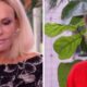 Ana Maria recebe atriz Debora Bloch para cafe da manha