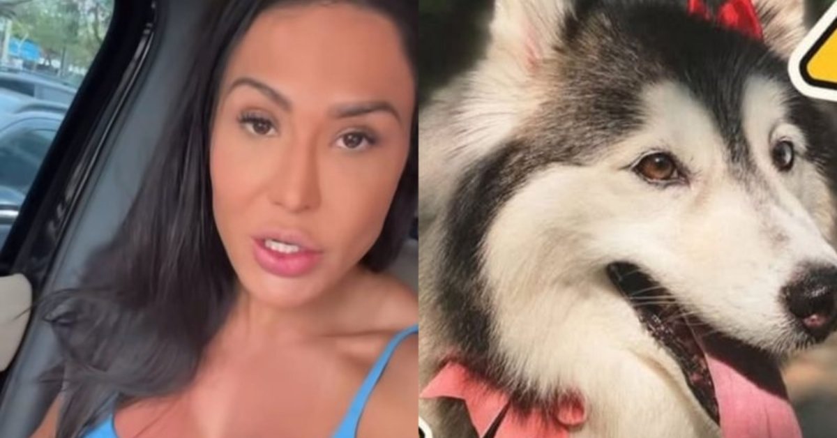Gracyanne Barbosa faz apelo nas redes sociais para encontrar cadela: 'Qualquer' 31 Gracyanne Barbosa faz apelo nas redes sociais para encontrar cadela