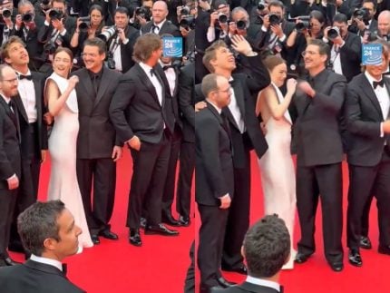 Emma Stone é “atacada” por abelha em Cannes e reação viraliza. Veja 31 Emma Stone e atacada por abelha em Cannes e reacao