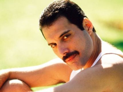 Filha secreta de Freddie Mercury é revelada em nova biografia do cantor 31 Filha secreta de Freddie Mercury e revelada em nova biografia