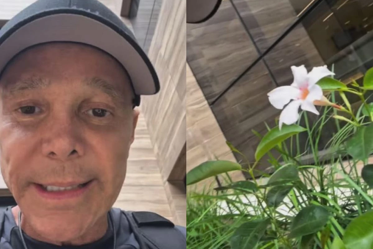 Netinho compartilha gesto simbólico de esperança com planta que cultivou durante tratamento 31 Netinho compartilha gesto simbolico de esperanca com planta que cultivou