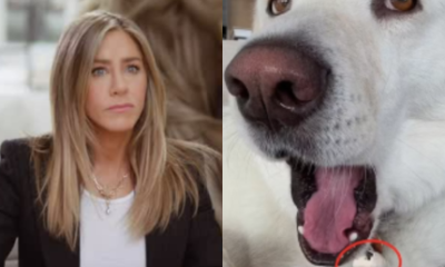 Opa Jennifer Aniston compartilha numero de celular em rede social