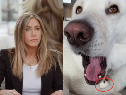 Opa Jennifer Aniston compartilha numero de celular em rede social