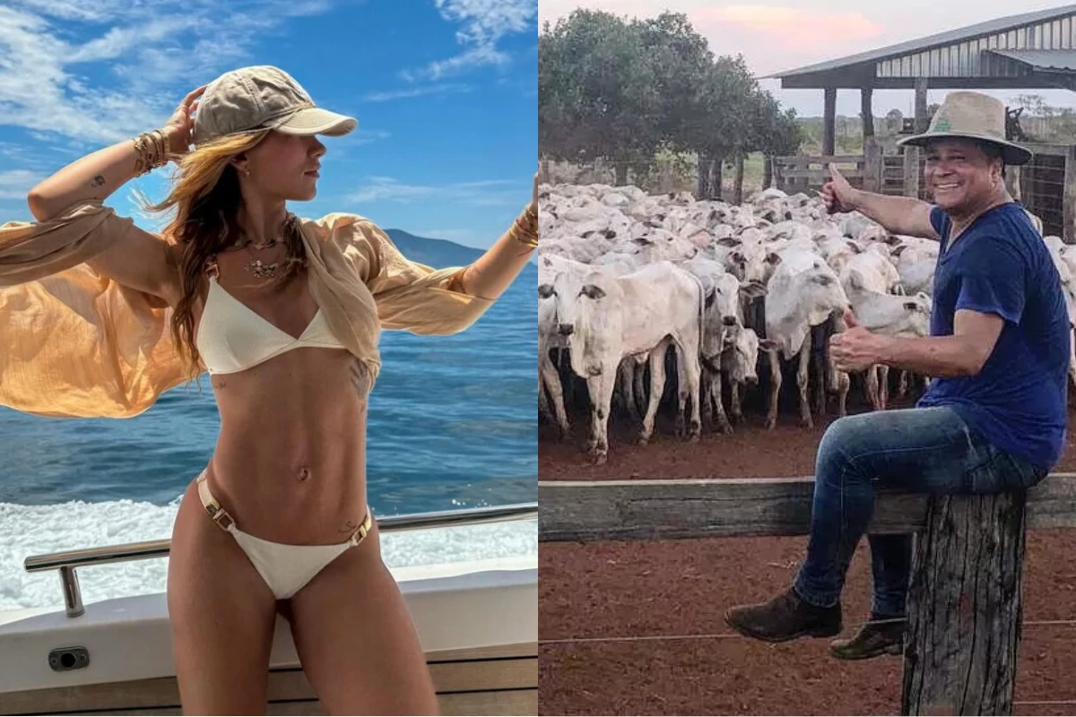 Virginia ou Leonardo? Comparação de fortunas revela quem tem maior patrimônio na família 31 Virginia ou Leonardo Comparacao de fortunas revela quem tem maior