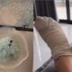 ‘Parecia que tinham assassinado alguem videos mostram como ex BBB ficou