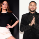 Alem de Livia Andrade outros famosos que viveram panico no