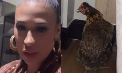 Apos ganhar e adotar galinha em show Simone Mendes leva