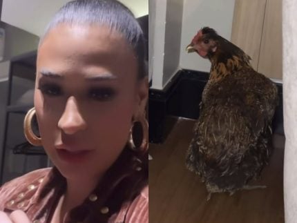 Após ganhar e adotar galinha em show, Simone Mendes leva a ave para o hotel 31 Apos ganhar e adotar galinha em show Simone Mendes leva