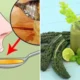 Conheca a receita caseira para diminuir o colesterol alto
