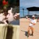 Empresario novo affair de Alice Wegmann ajudou a levar Lady