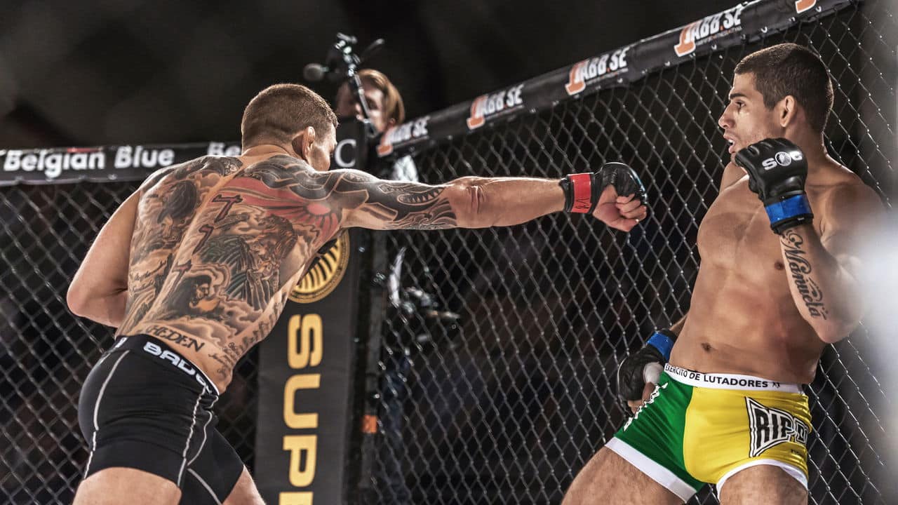 Lista revela quais brasileiros lideram os ganhos no UFC 31 Lista revela quais brasileiros lideram os ganhos no UFC