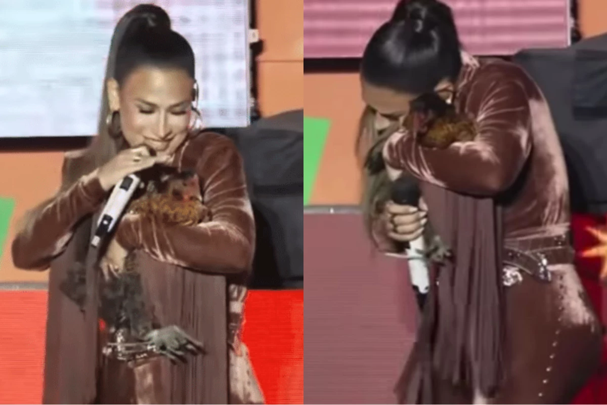 Presente inusitado! Simone Mendes ganha ‘cocóleguinha’ no palco e diverte plateia com reação inesperada 33 Presente inusitado Simone Mendes ganha ‘cocoleguinha no palco e diverte