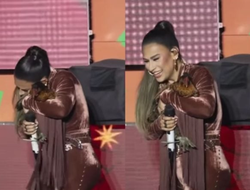 VEJA VÍDEO: Simone Mendes ganha galinha de presente em show e tem reação surpreendente 35 Simone Mendes (foto Reprodução Redes Sociais)