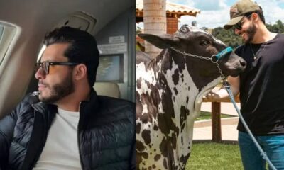 vaca de R 2 milhoes jatinho e caches invejaveis