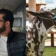 vaca de R 2 milhoes jatinho e caches invejaveis