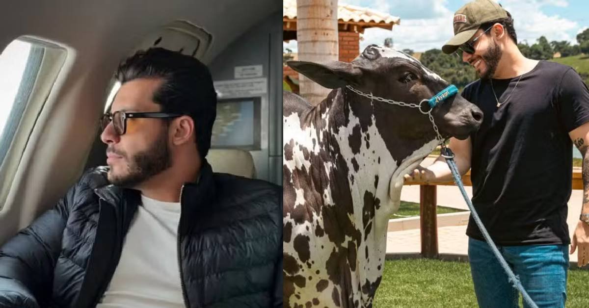 vaca de R$ 2 milhões, jatinho e cachês invejáveis 31 vaca de R 2 milhoes jatinho e caches invejaveis