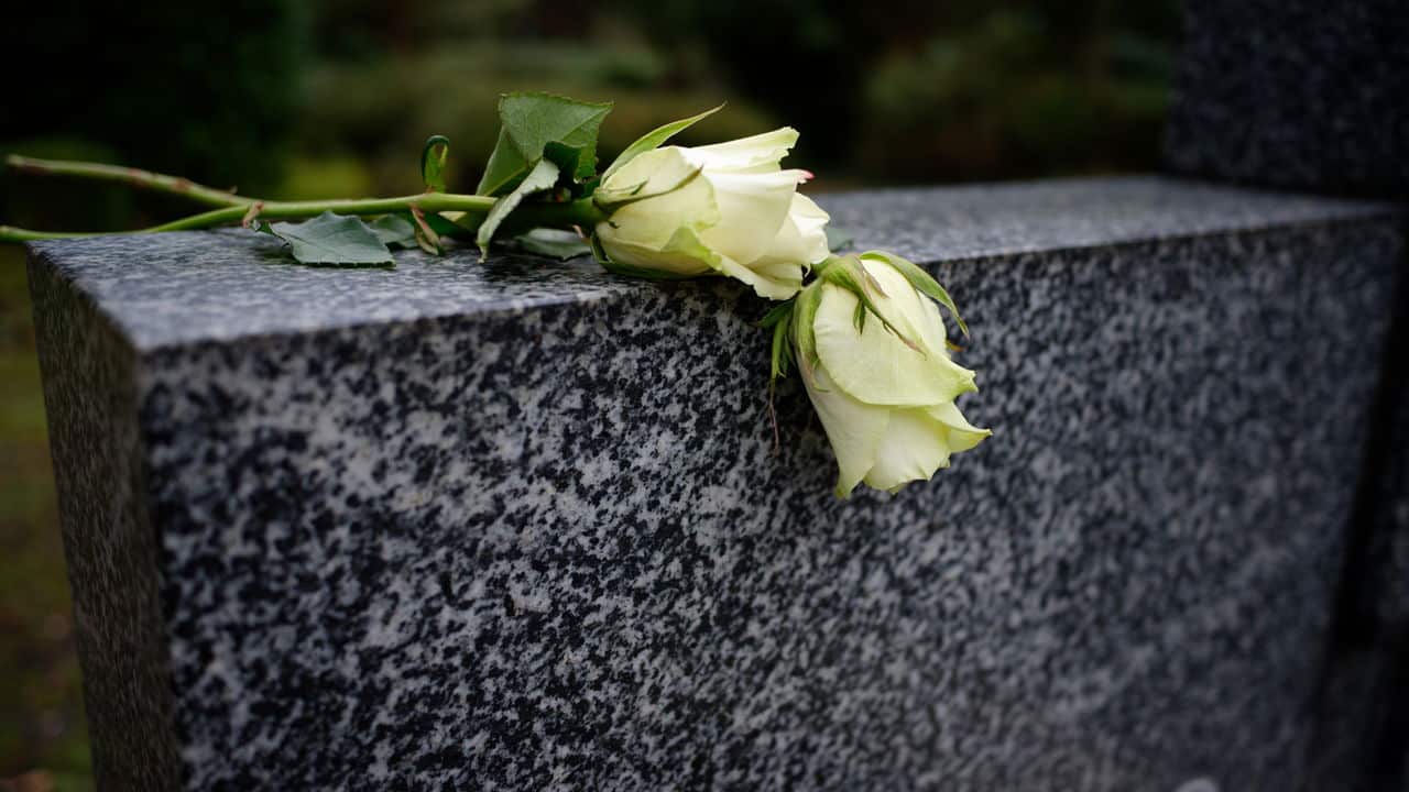 Choque no mundo fitness: estrela do fisiculturismo morre após parada cardíaca 33 Choque no mundo fitness estrela do fisiculturismo morre apos parada