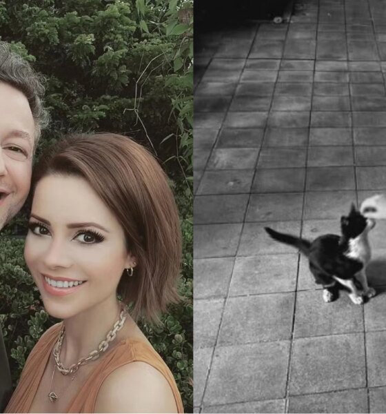 Como ele cresceu Sandy e Lucas Lima exibem foto rarissima
