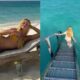 Marina Ruy Barbosa exibe quarto de hotel e termina o