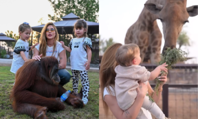 Passeio em familia Virginia e os tres filhos interagem com