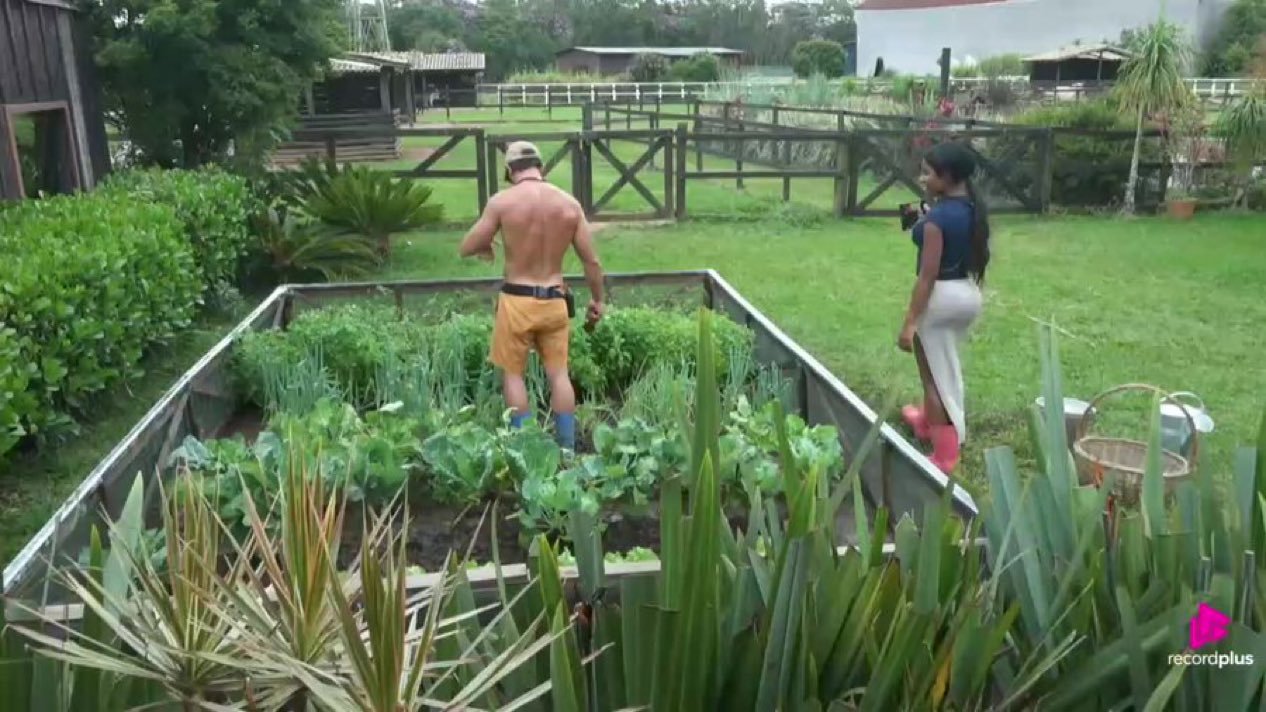 Reprodução: RecordPlus