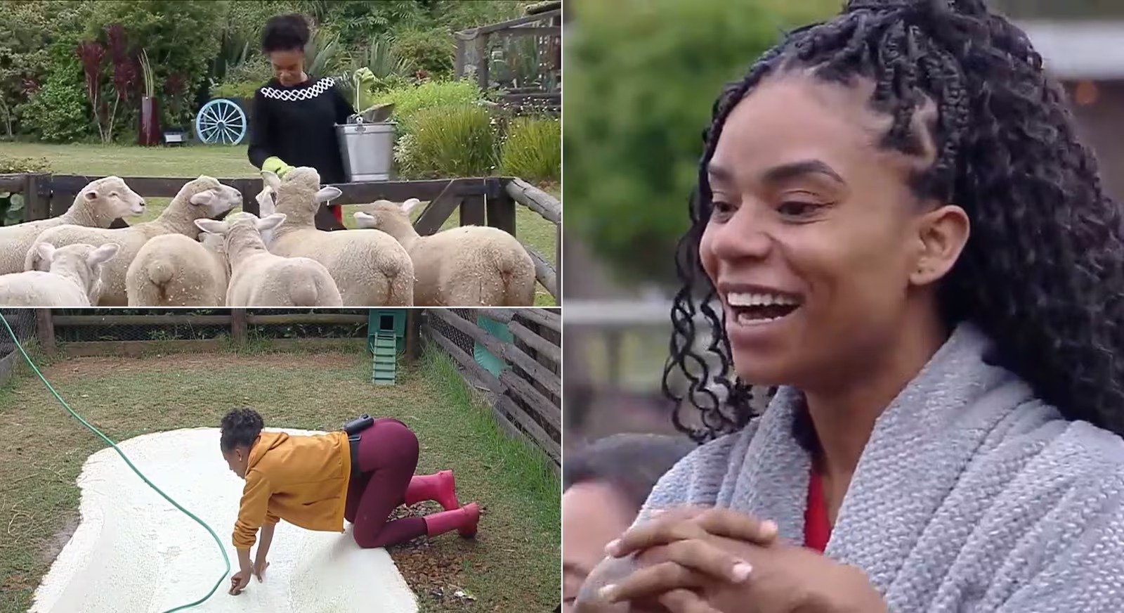 Reprodução: RecordPlus