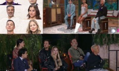 A Fazenda 17 entra na reta final com eliminacao formacao