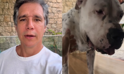 Marcio Garcia atualiza estado de saude do cachorro diagnosticado com