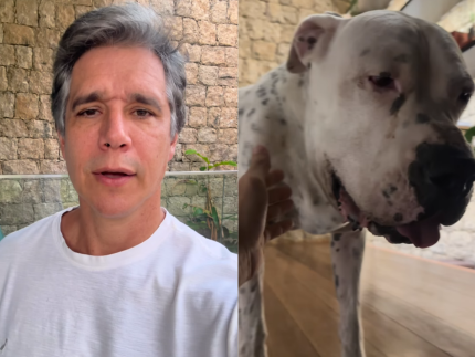 Marcio Garcia atualiza estado de saude do cachorro diagnosticado com