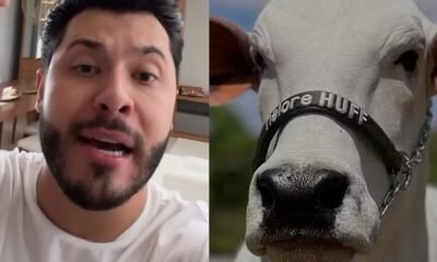 Murilo Huff detalha compra de vaca milionaria e esclarece como