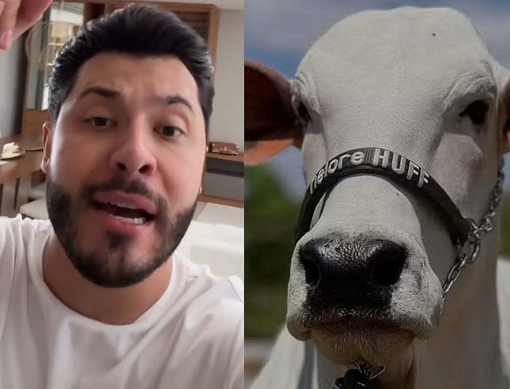 Murilo Huff detalha compra de vaca milionaria e esclarece como