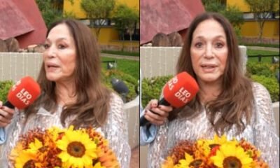 O Leo sempre me respeitou Susana Vieira cita o titular