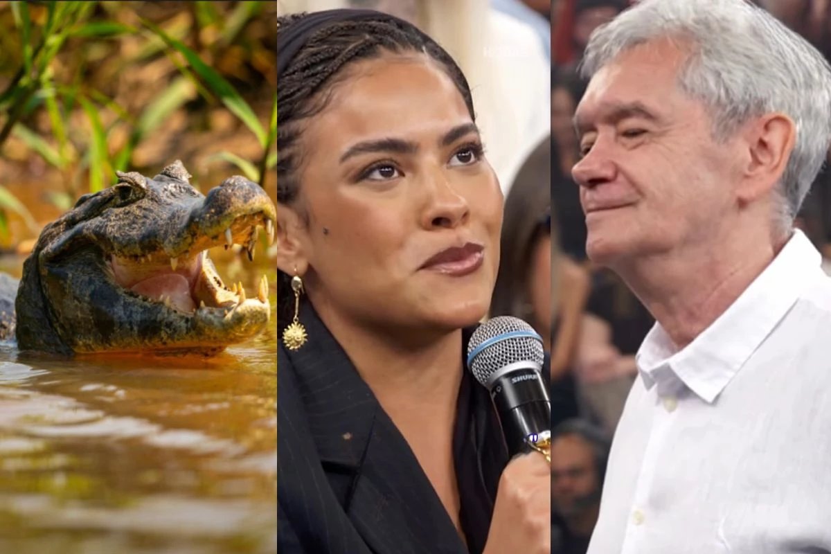 ‘Mordida por um jacare no Altas Horas Bella Campos relembra