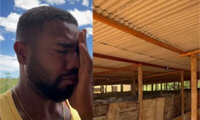 ‘Muitos zombaram video mostra Davi Brito emocionado e ele revelou