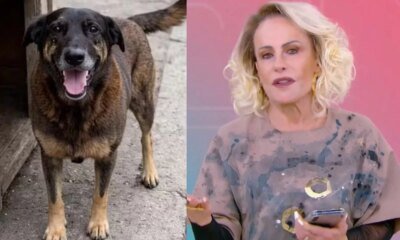 Ana Maria desabafa no caso do cao Orelha e detona