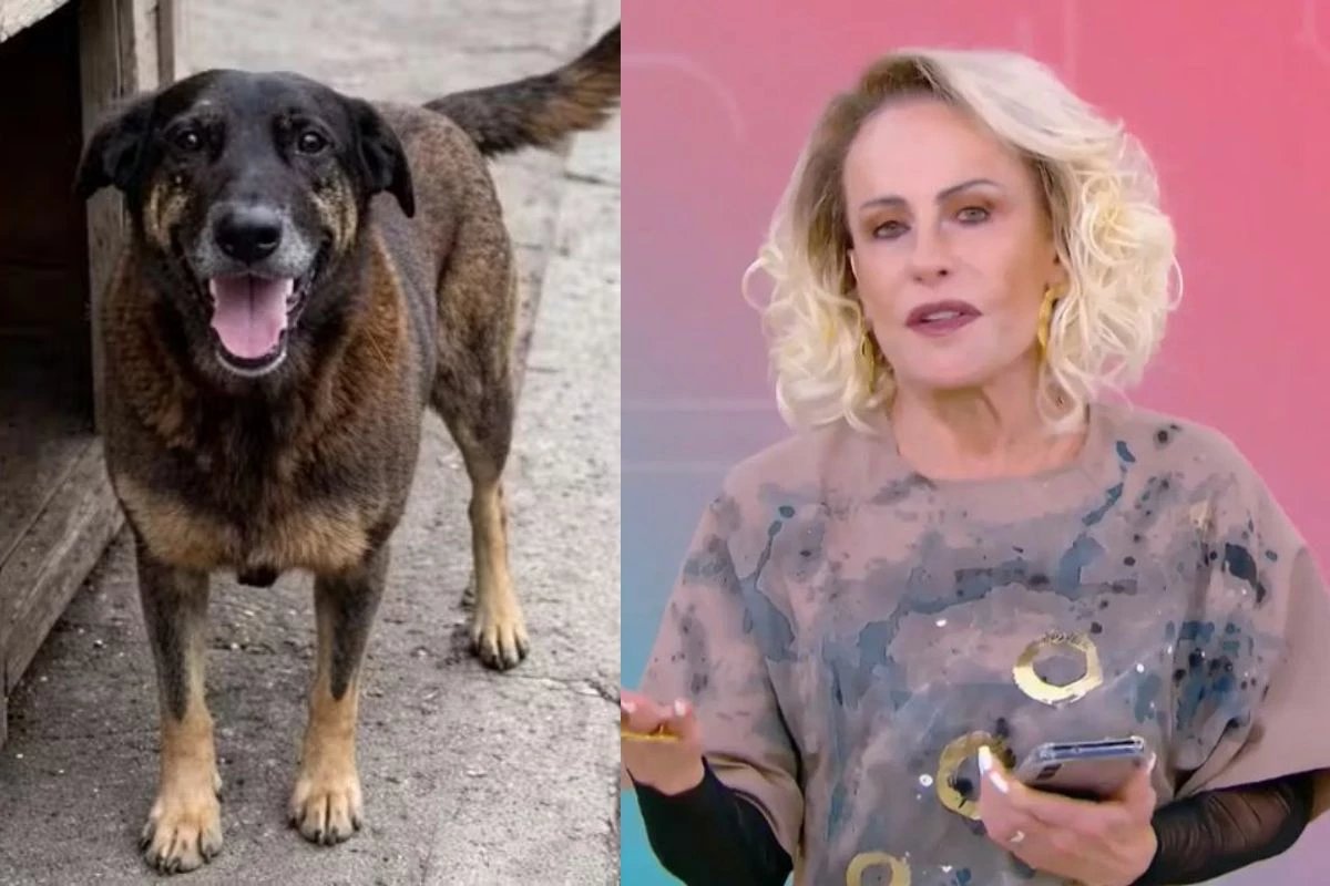 Ana Maria desabafa no caso do cao Orelha e detona