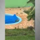 Cachorro cai em piscina e e salvo de afogamento.webp