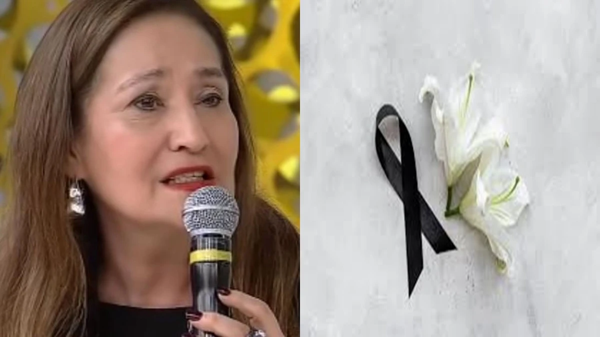 Chorando Sonia Abrao informa morte ao Brasil Um grande.webp