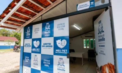 Denuncia de eutanasia em animais para esvaziar abrigo e.webp