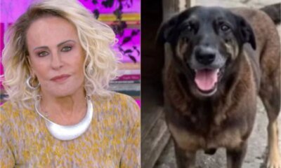 Emocionada Ana Maria Braga pede que adolescentes que mataram cao