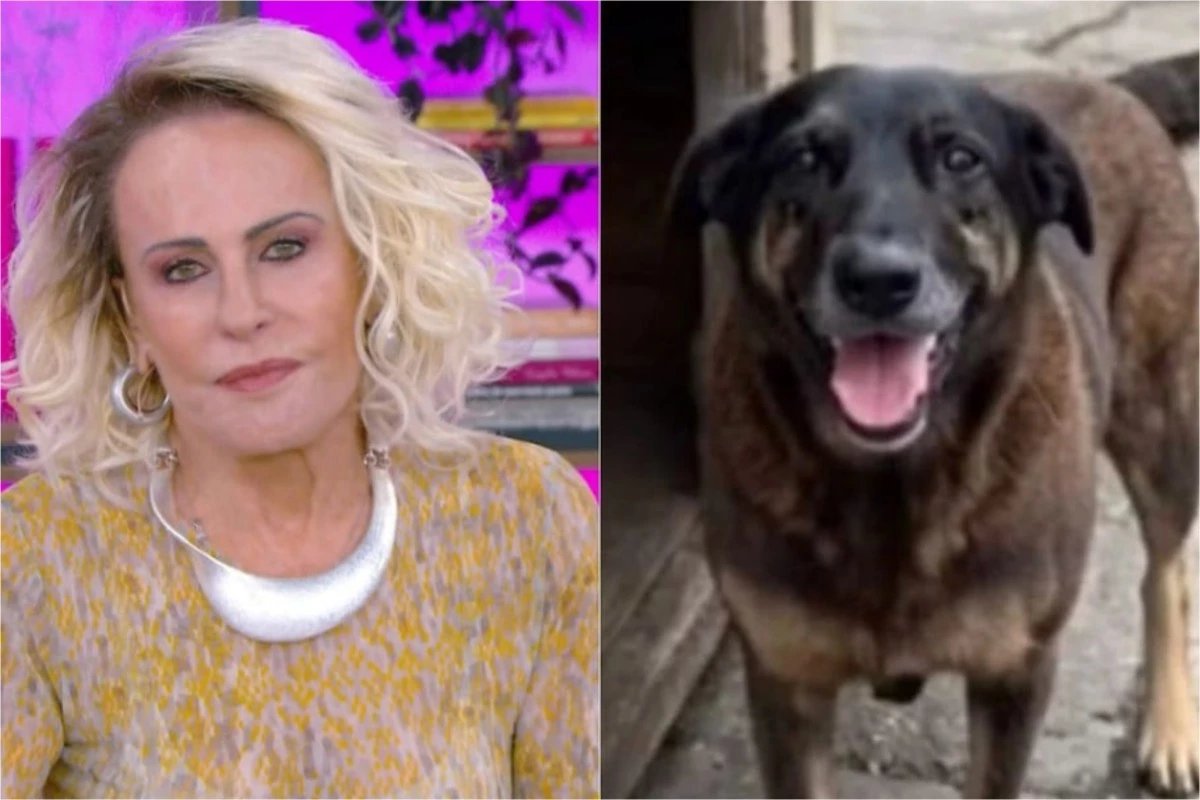 Emocionada Ana Maria Braga pede que adolescentes que mataram cao