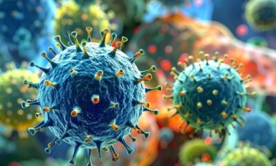 Virus Nipah o que se sabe sobre a Infeccao sem