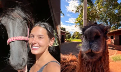 Ana Castela compartilha fotos dos animais da fazenda em.webp