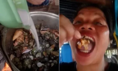 Influenciadora e morta apos comer caranguejo do diabo.webp