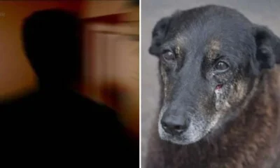 Pai de jovem investigado pela morte de Orelha pede.webp